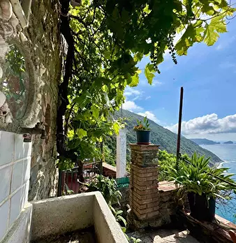 Foto annuncio 10