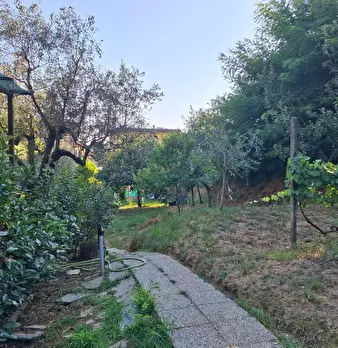 Foto annuncio 3