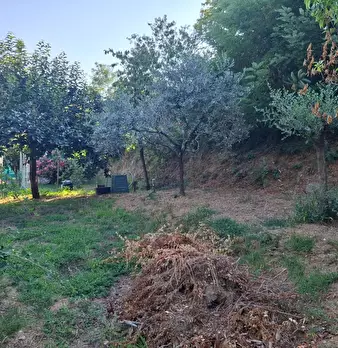 Foto annuncio 12