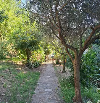 Foto annuncio 4