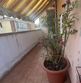 Foto annuncio 17