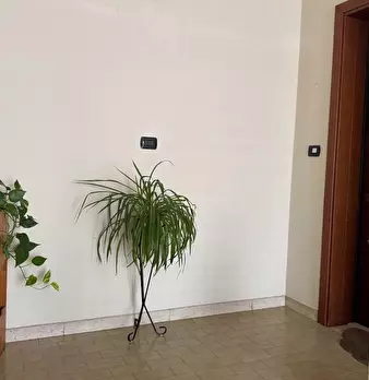 Foto annuncio 36