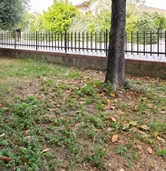 Foto annuncio 9