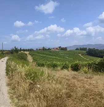 Foto annuncio 13