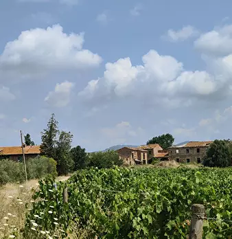 Foto annuncio 10