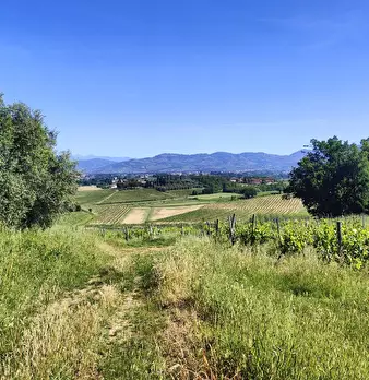 Foto annuncio 3