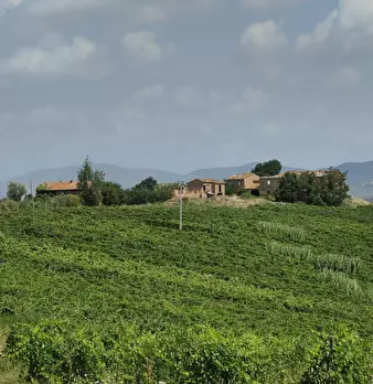 Foto annuncio 11