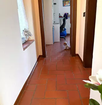 Foto annuncio 23