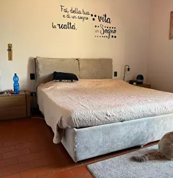 Foto annuncio 9