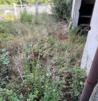 Foto annuncio 36