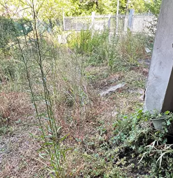Foto annuncio 35