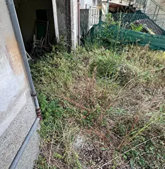 Foto annuncio 39