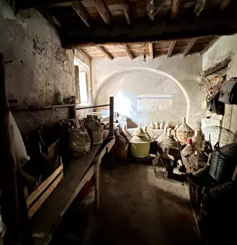 Foto annuncio 43