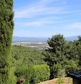 Foto annuncio 17