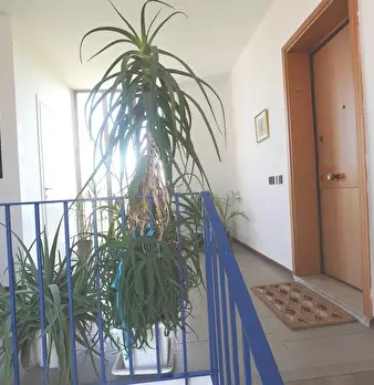 Foto annuncio 32