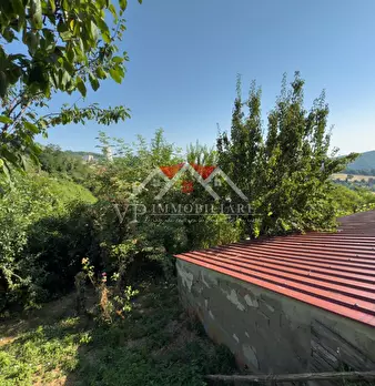 Foto annuncio 9