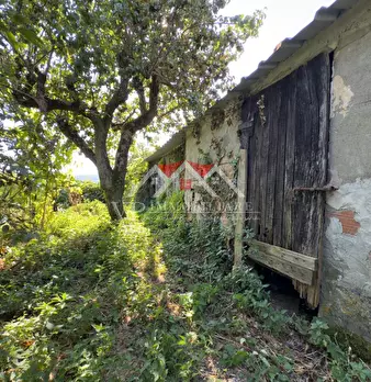 Foto annuncio 7
