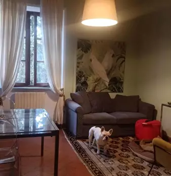 Foto annuncio 1