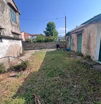 Foto annuncio 6