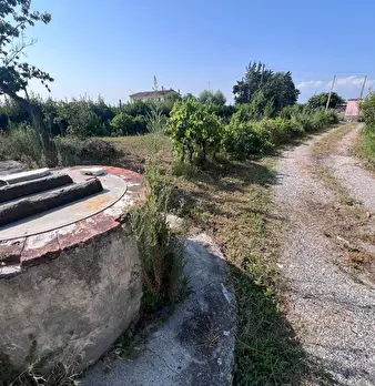 Foto annuncio 10