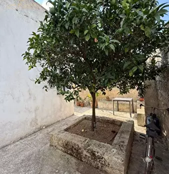Foto annuncio 20