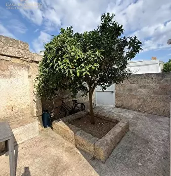 Foto annuncio 18