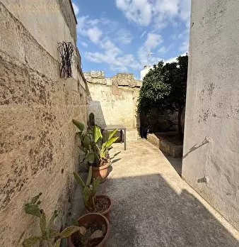 Foto annuncio 11
