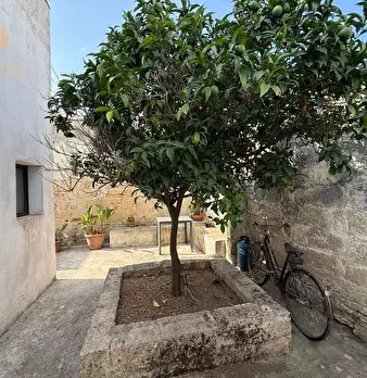 Foto annuncio 19