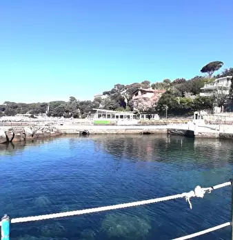 Foto annuncio 2