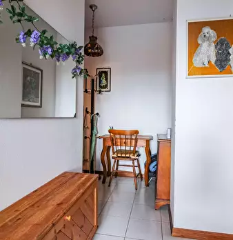 Foto annuncio 10
