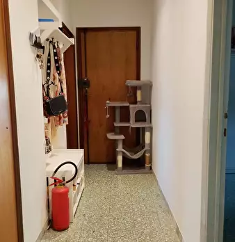 Foto annuncio 19