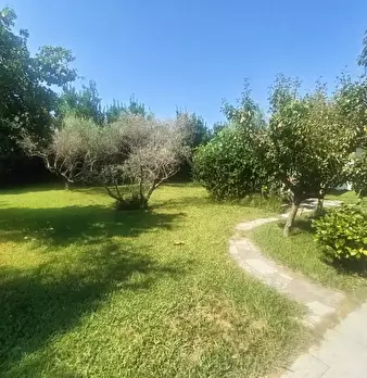 Foto annuncio 8