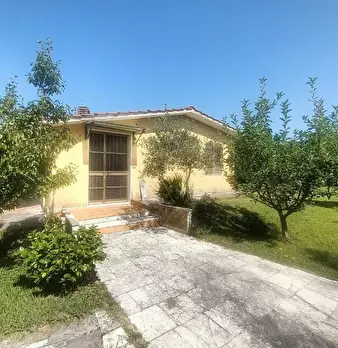 Foto annuncio 2