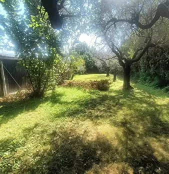 Foto annuncio 6