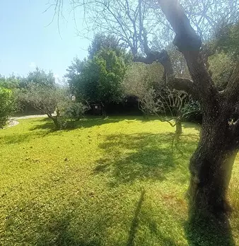 Foto annuncio 5