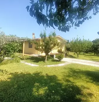 Foto annuncio 1
