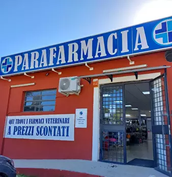 Foto annuncio 2