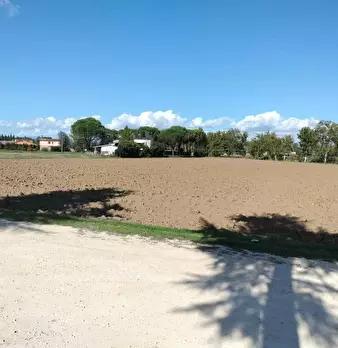 Foto annuncio 23