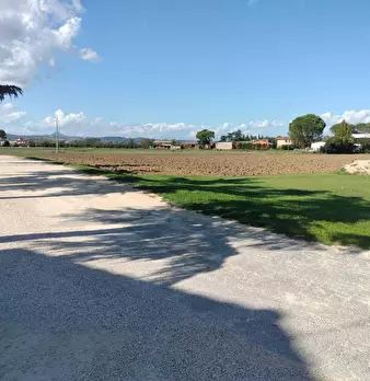 Foto annuncio 22