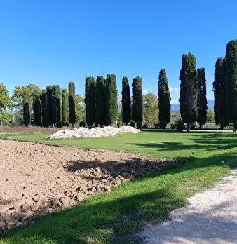 Foto annuncio 21