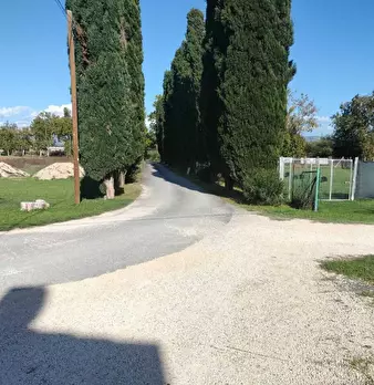 Foto annuncio 19