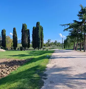 Foto annuncio 20