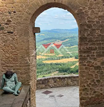 Foto annuncio 11