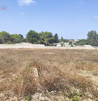 Foto annuncio 4