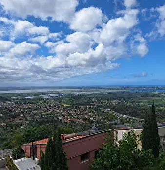 Foto annuncio 19