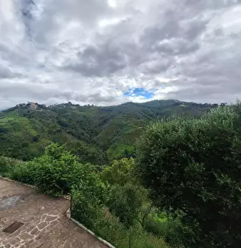 Foto annuncio 17