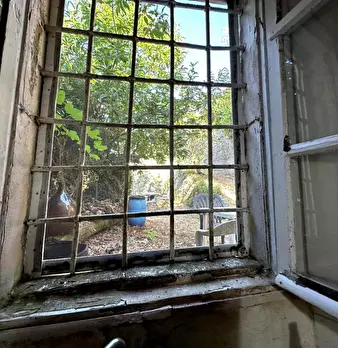 Foto annuncio 10