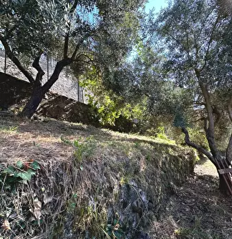 Foto annuncio 25