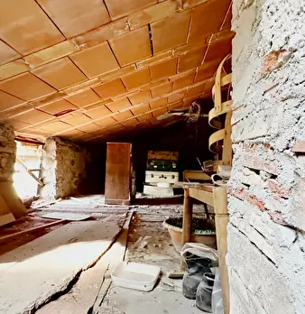 Foto annuncio 19