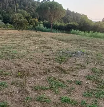 Foto annuncio 4